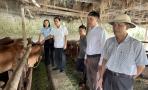 Bí thư Đảng ủy xã Nghĩa Khánh thăm, kiểm tra các mô hình kinh tế hiệu quả trên địa bàn